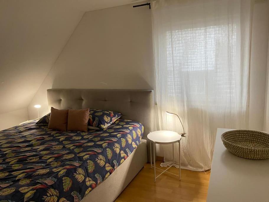 Bel Appartement En Centre Alsace Kintzheim Exterior foto