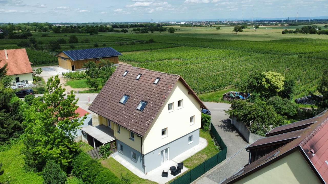 Bel Appartement En Centre Alsace Kintzheim Exterior foto