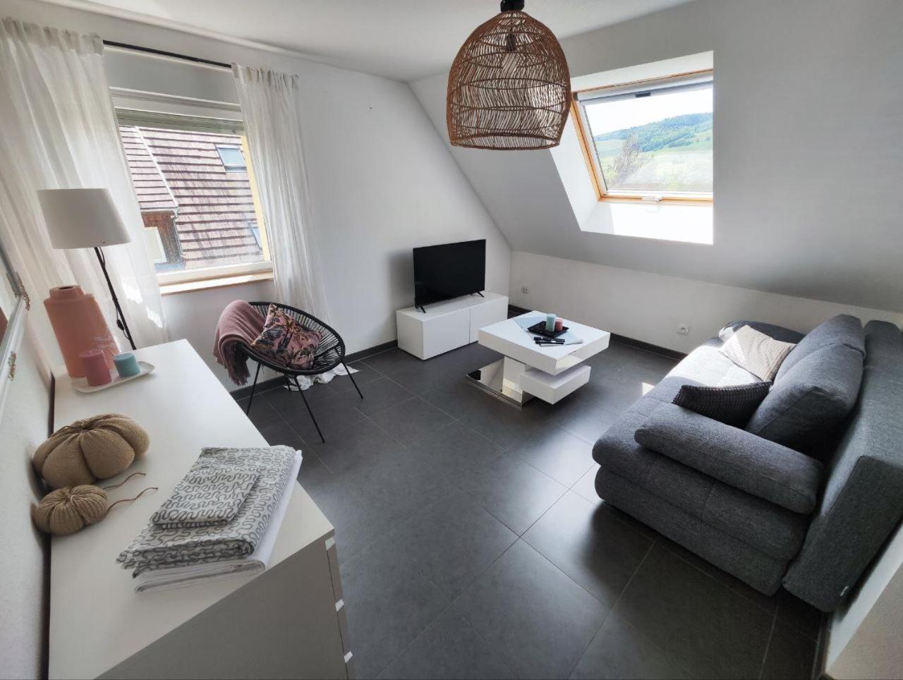 Bel Appartement En Centre Alsace Kintzheim Exterior foto